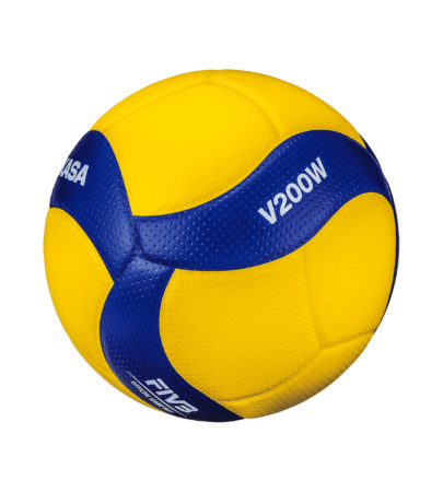 ballon de volley-ball