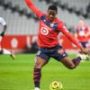 lille-–-fc-lorient-:-david-ouvre-enfin-son-compteur-et-scelle-la-victoire-des-dogues-!