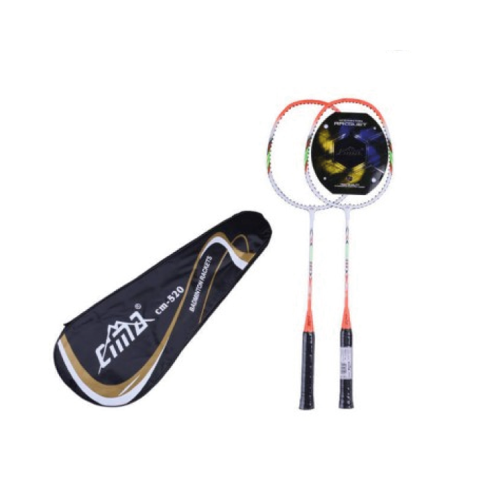Ensemble 2 Raquettes Badminton avec Sac Rangement Ensemble 2 Raquettes