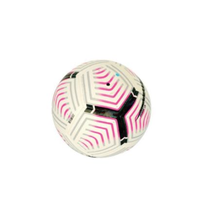 Ballon de Compétition