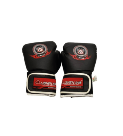 Gant de Boxe