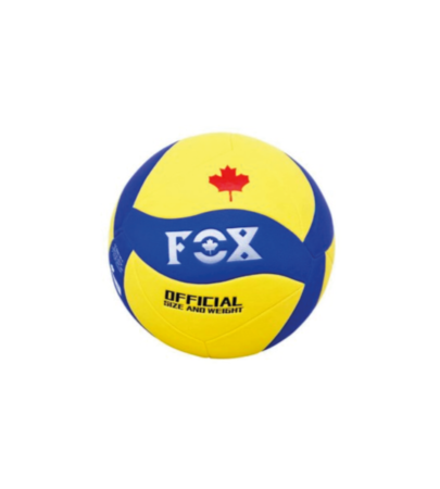 Ballon de Volley-ball BALVBOLL005